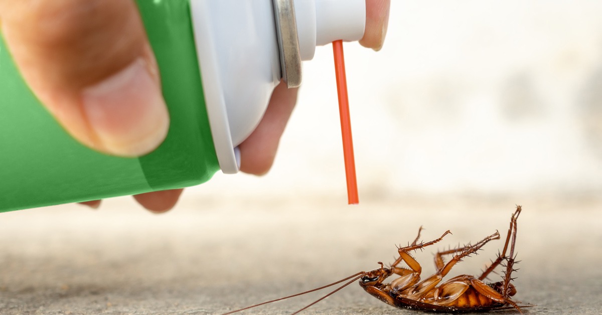 Cockroach Treatment