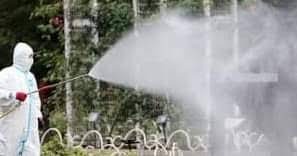 Dengue Spray