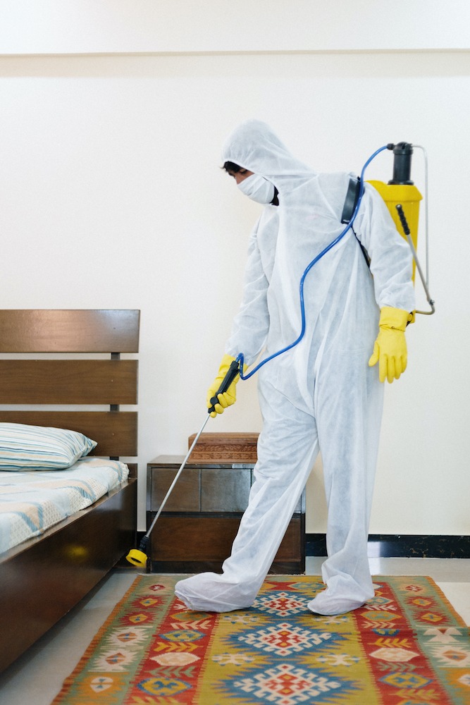 Disinfection Services